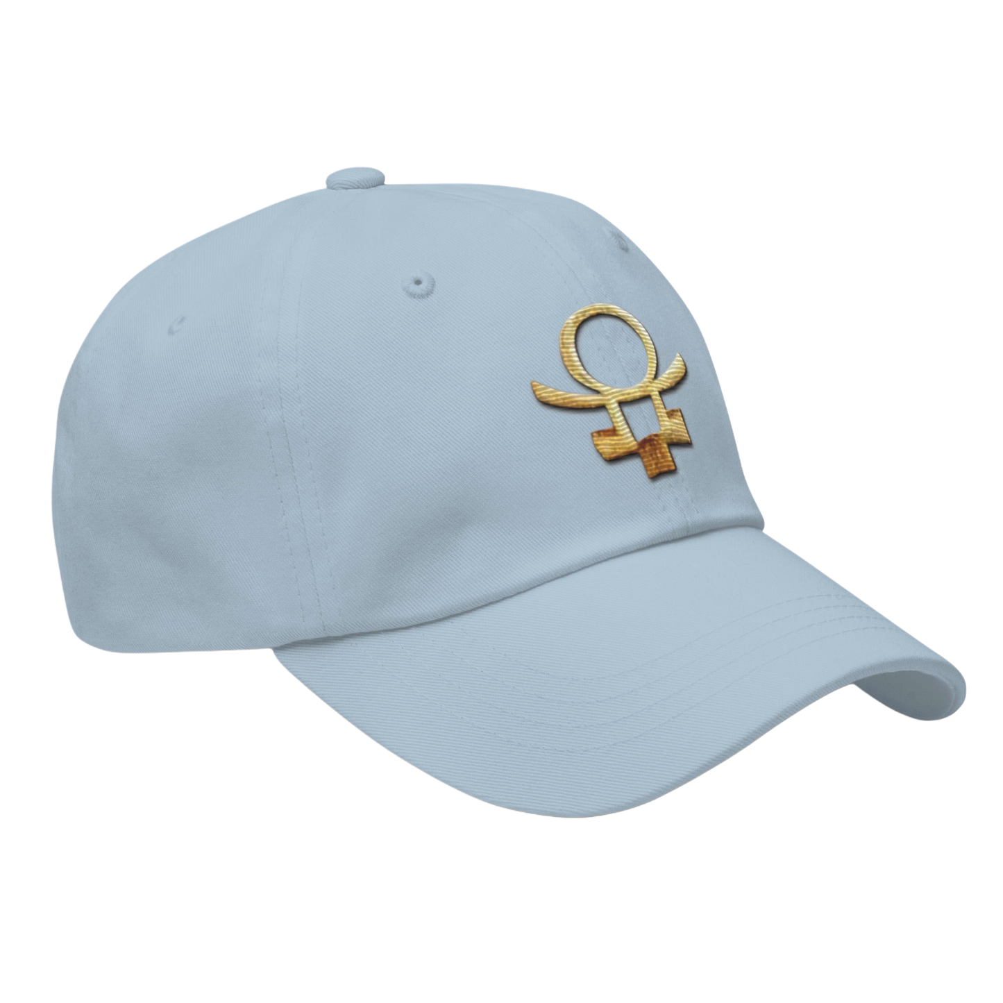 Embrace Humanity™ | Ethic Seal | #SnitchTheStitch | Cap