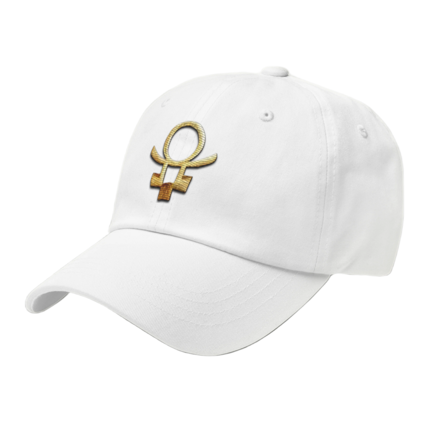 Embrace Humanity™ | Ethic Seal | #SnitchTheStitch | Cap
