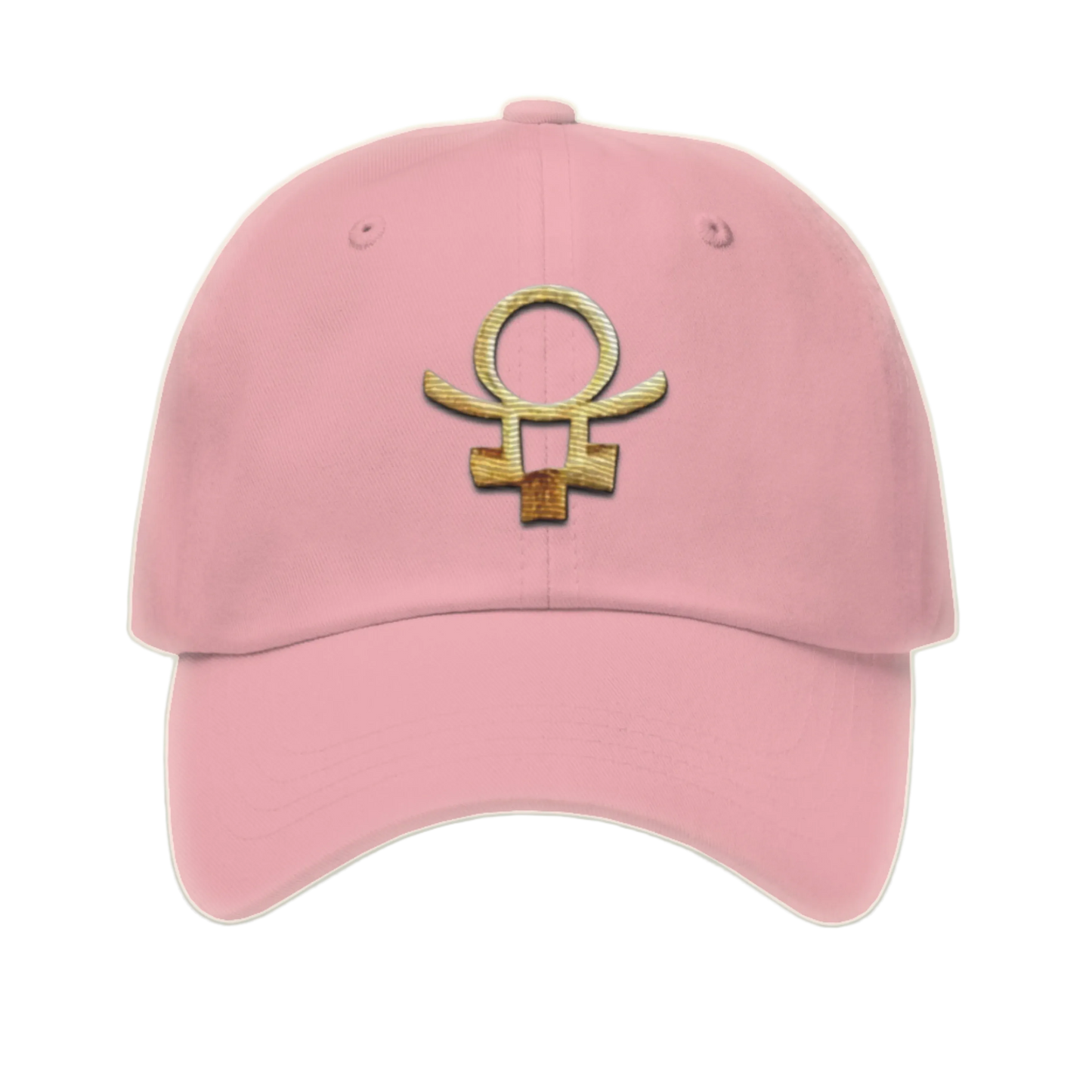 Embrace Humanity™ | Ethic Seal | #SnitchTheStitch | Cap