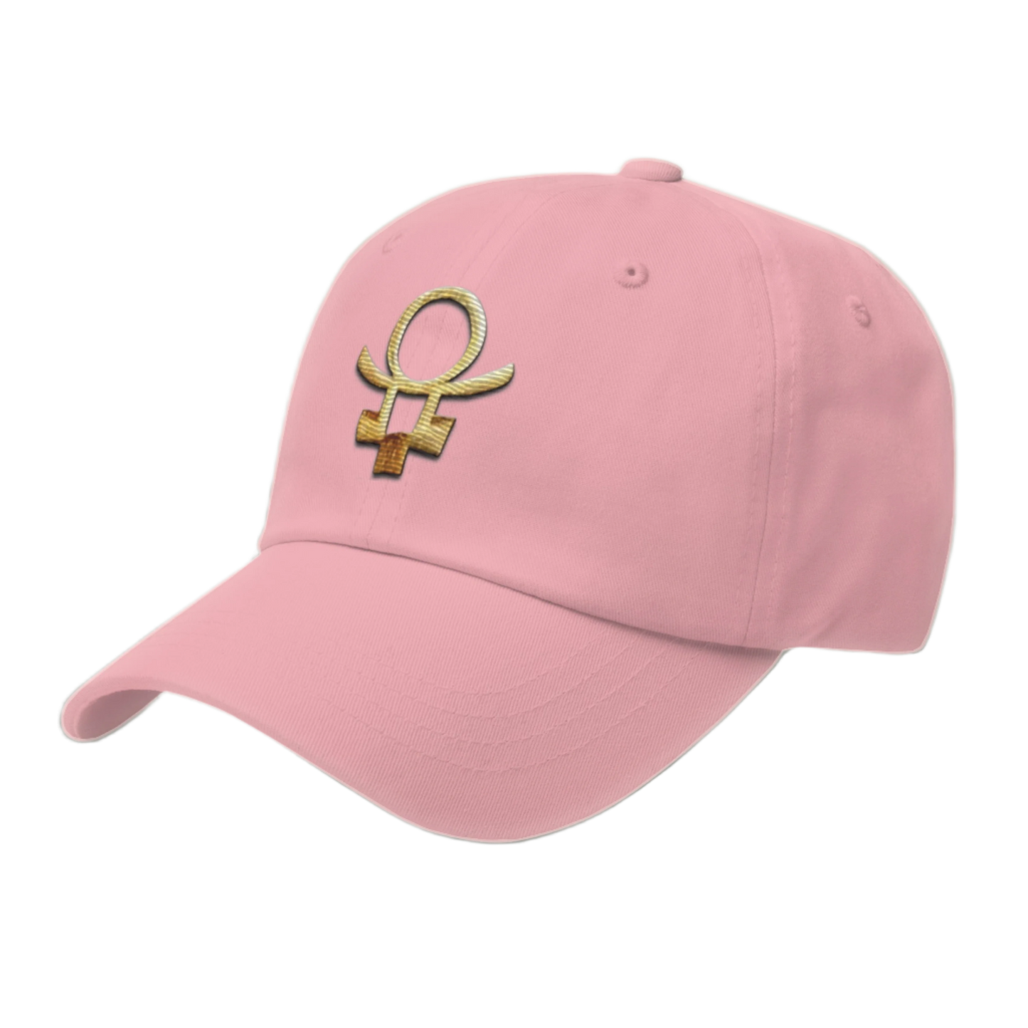 Embrace Humanity™ | Ethic Seal | #SnitchTheStitch | Cap