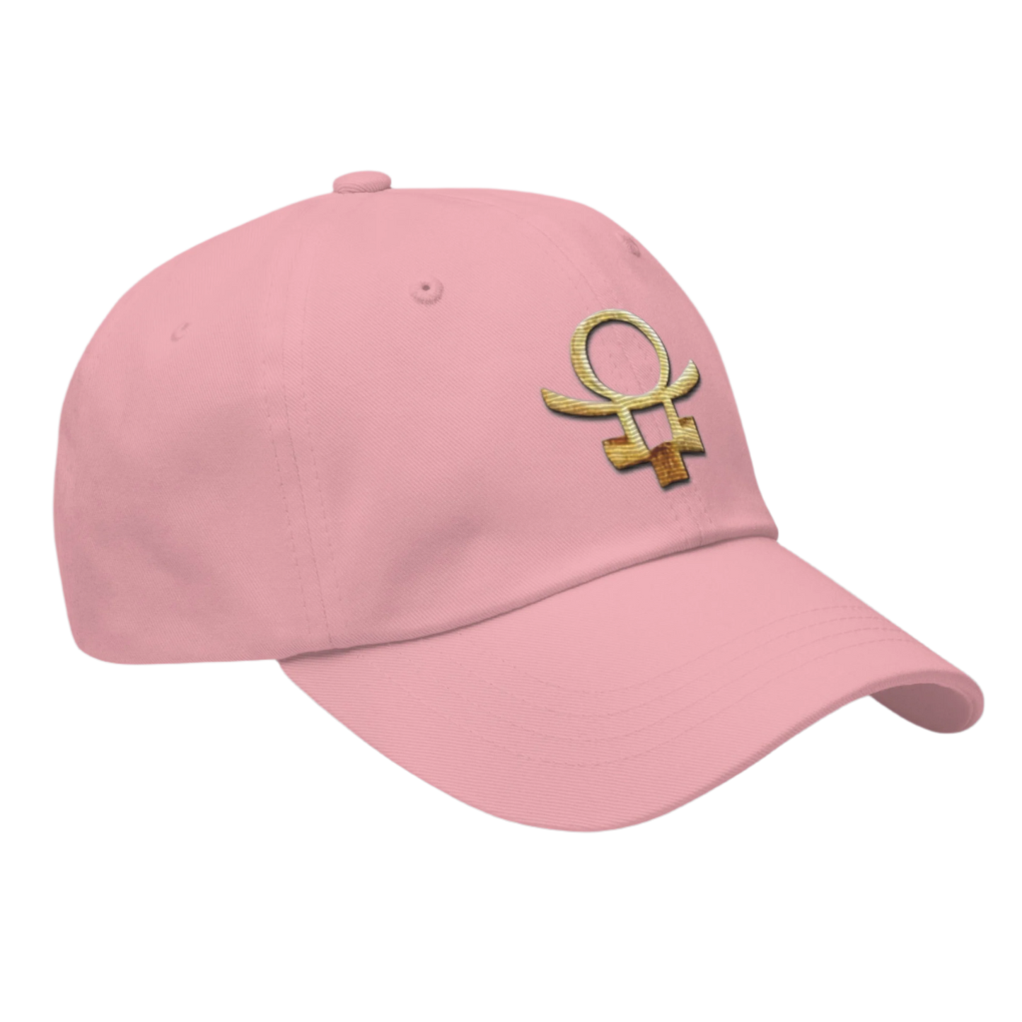 Embrace Humanity™ | Ethic Seal | #SnitchTheStitch | Cap