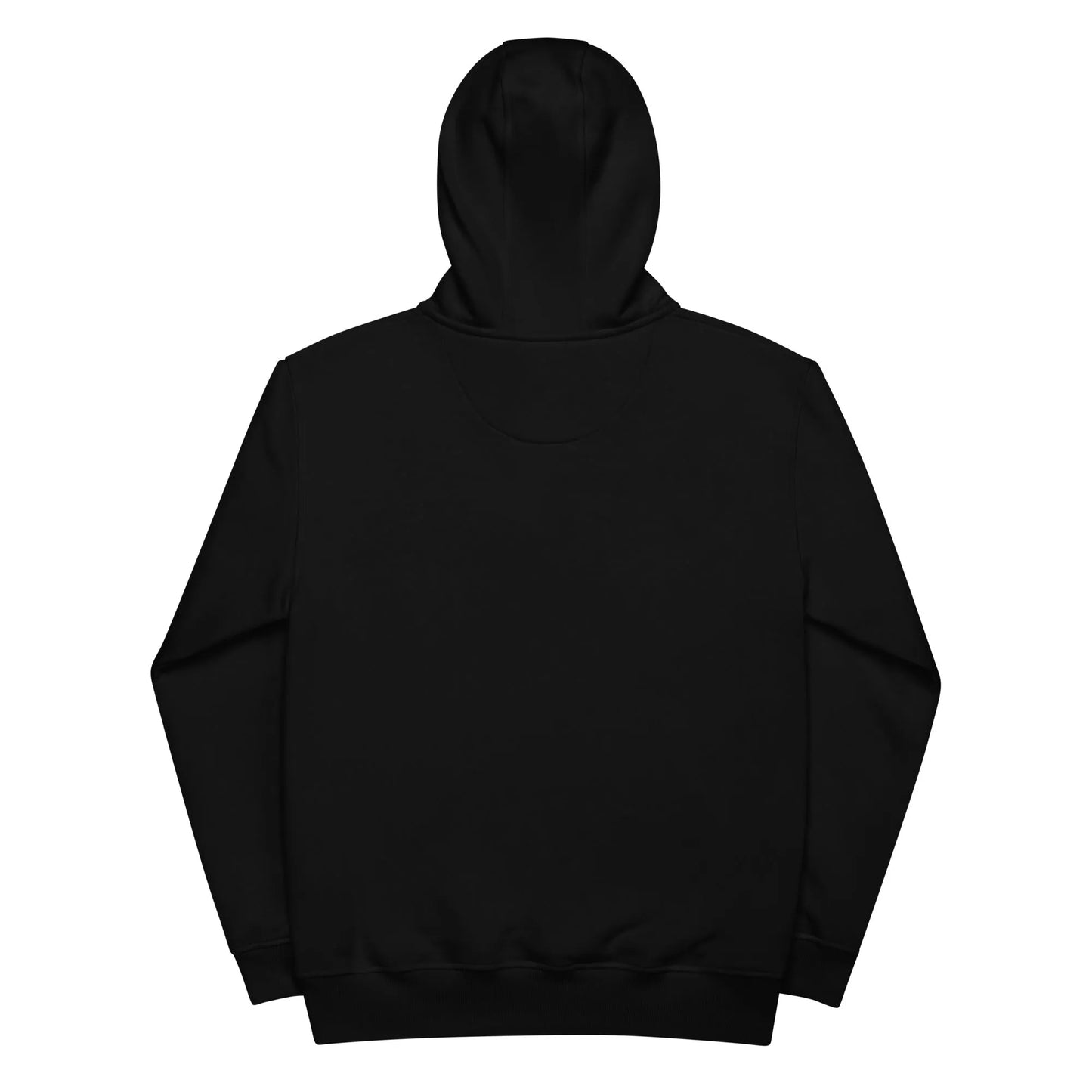 Premium Black eco Hoodie | Metaphorically Significant Collection
