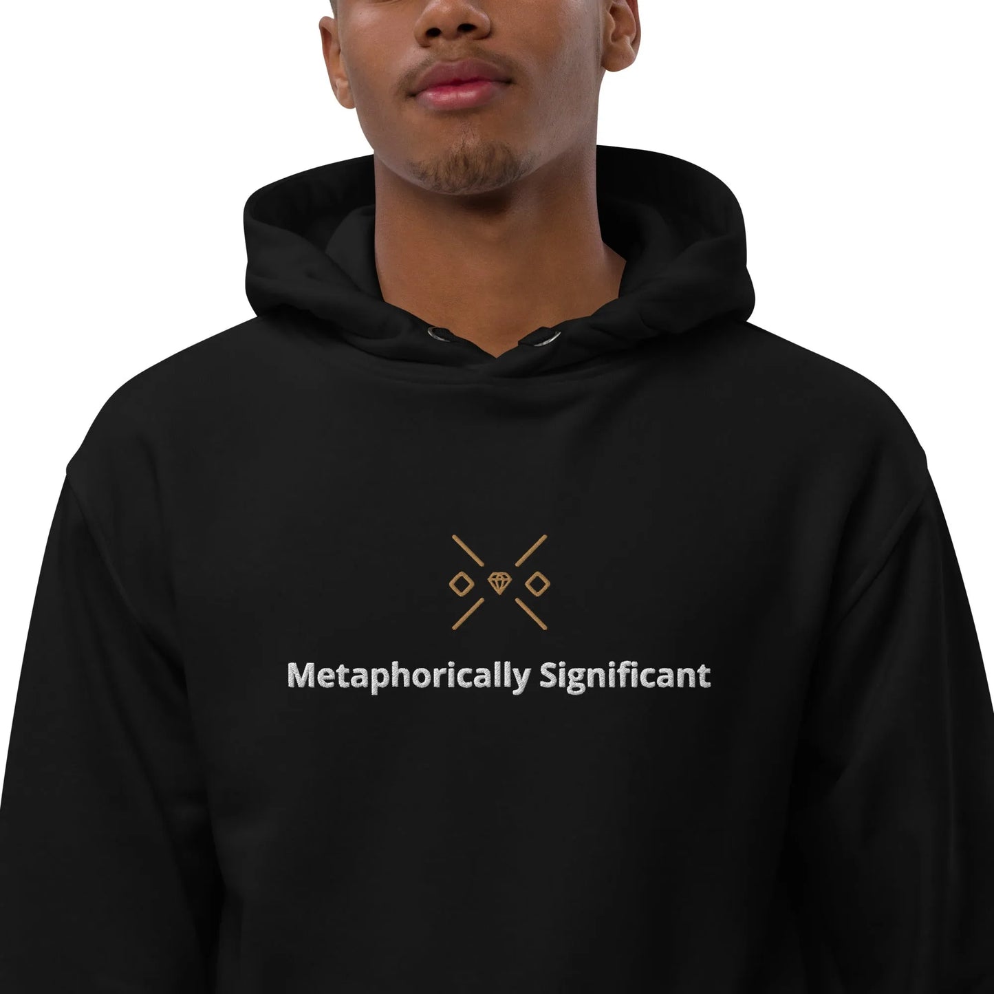 Premium Black eco Hoodie | Metaphorically Significant Collection