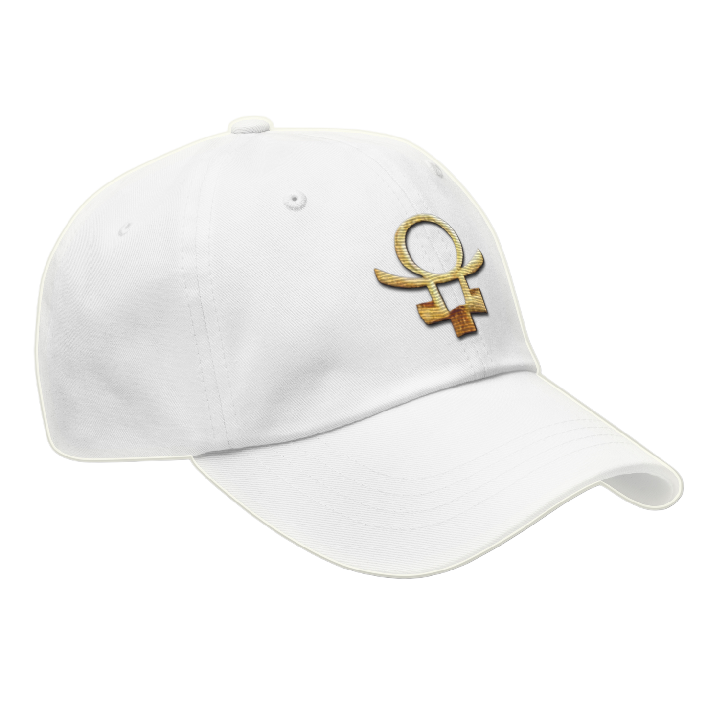 Embrace Humanity™ | Ethic Seal | #SnitchTheStitch | Cap