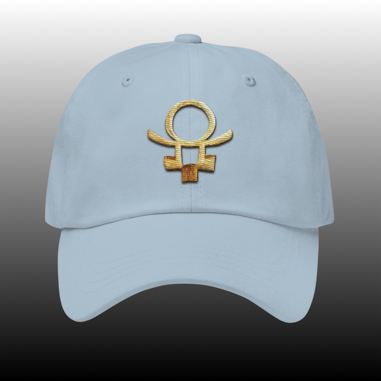 Embrace Humanity™ | Ethic Seal | #SnitchTheStitch | Cap