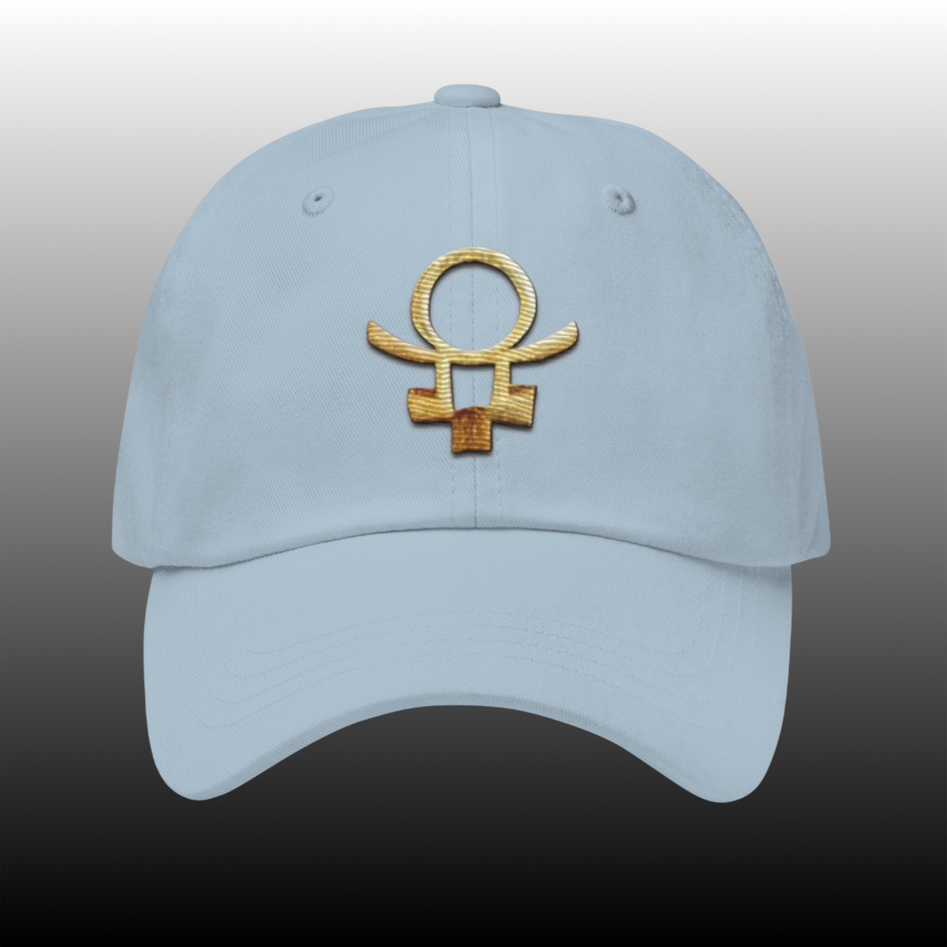 Embrace Humanity™ | Ethic Seal | #SnitchTheStitch | Cap