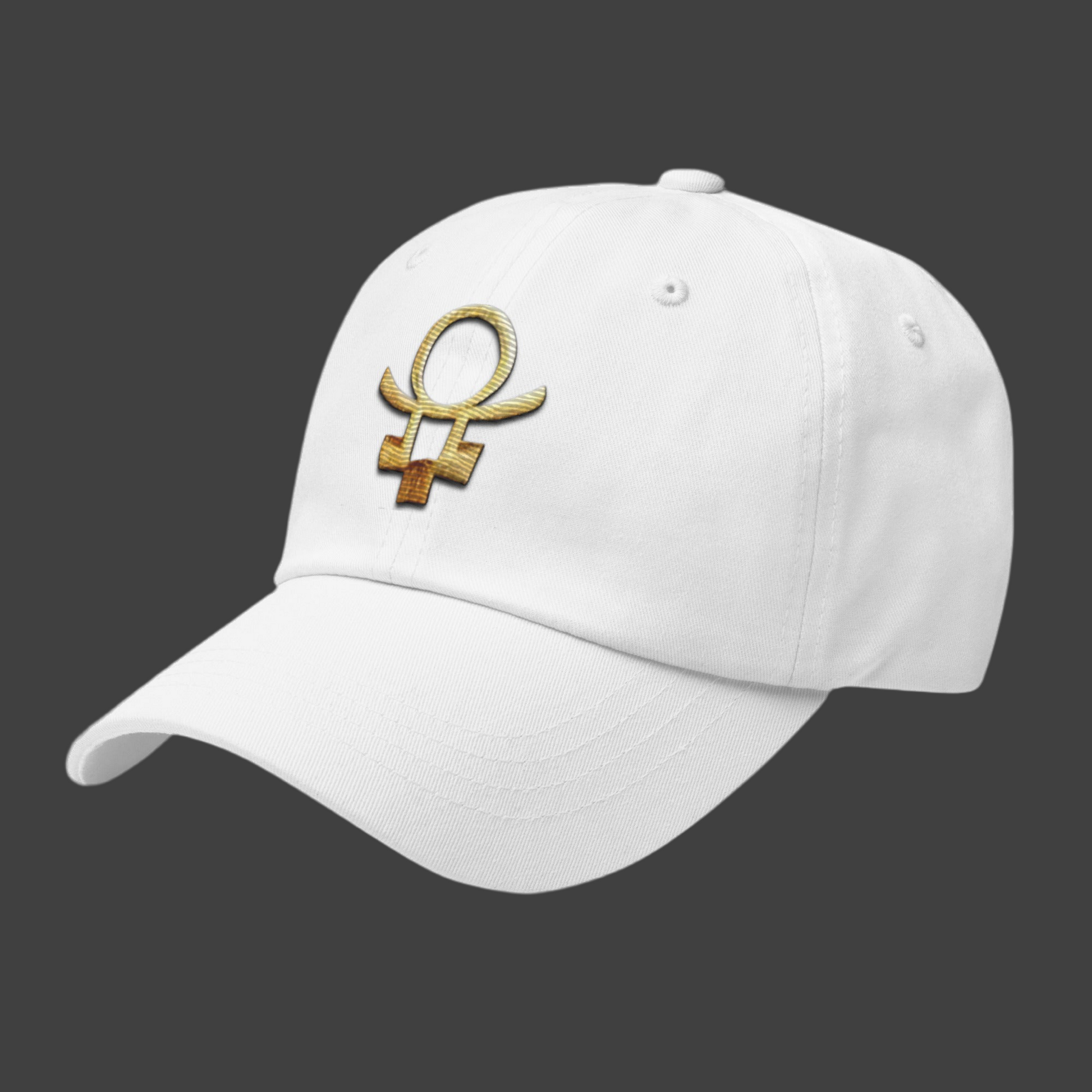 Embrace Humanity™ | Ethic Seal | #SnitchTheStitch | Cap