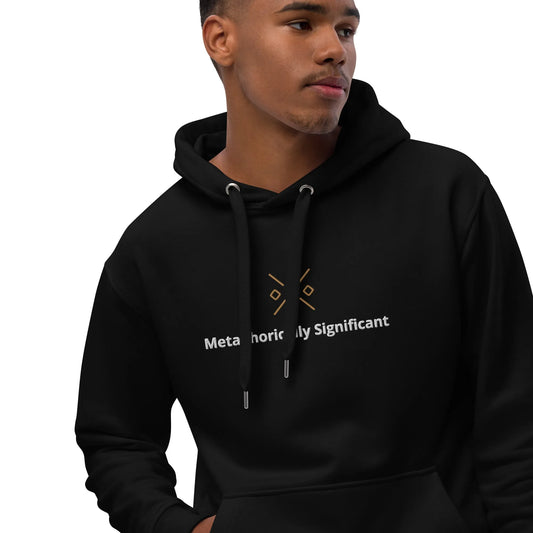 Premium Black eco Hoodie | Metaphorically Significant Collection