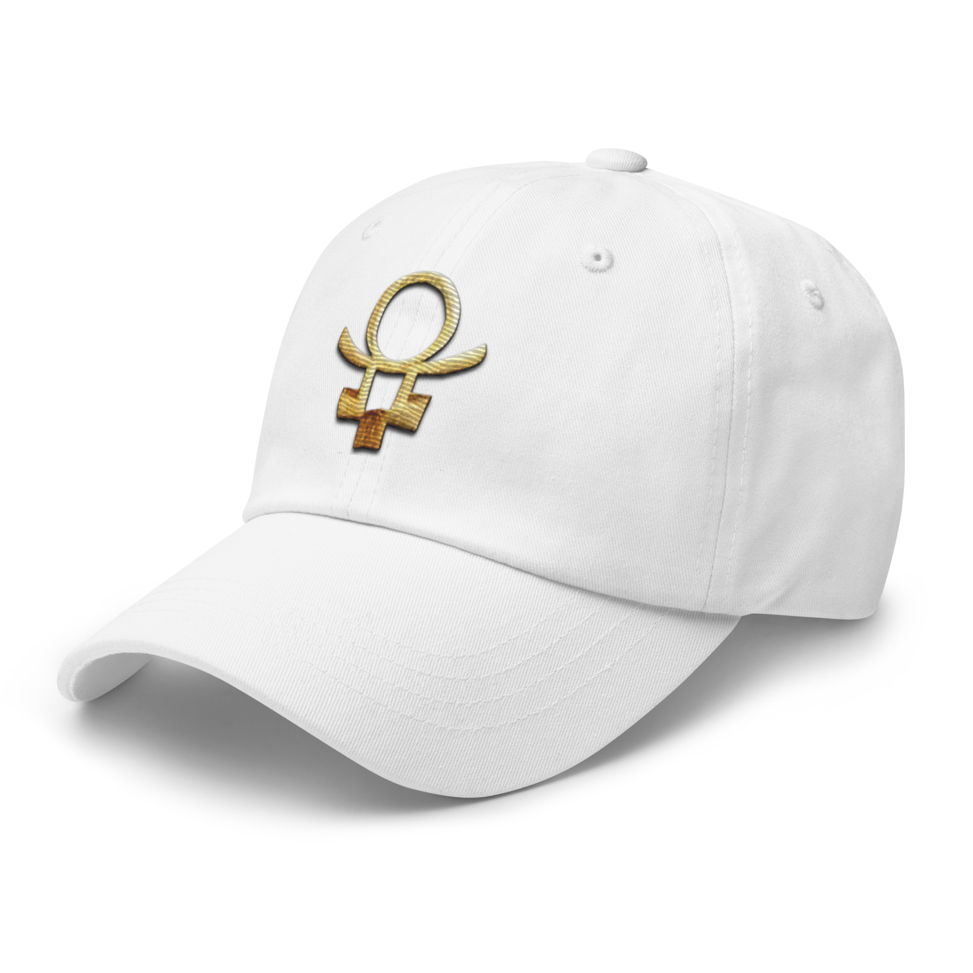 Embrace Humanity™ | Ethic Seal | #SnitchTheStitch | Cap