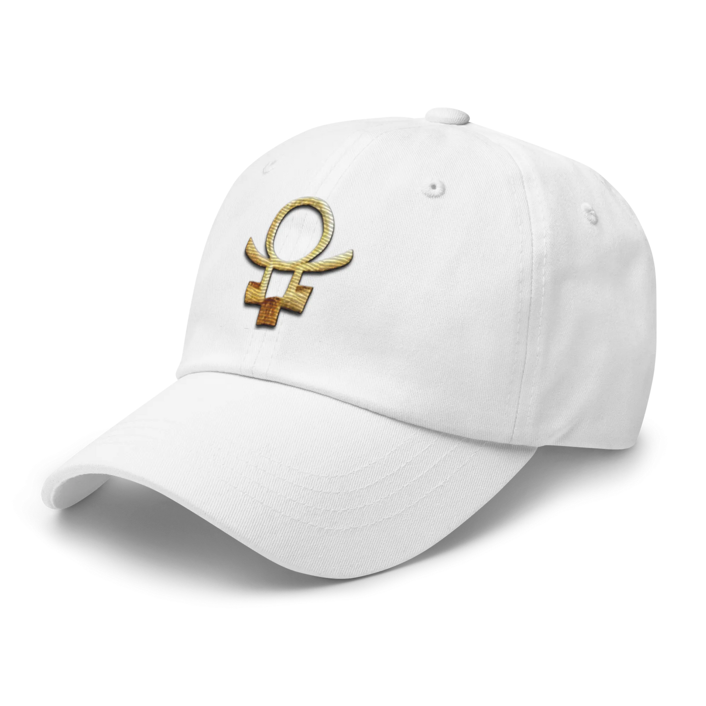 Embrace Humanity™ | Ethic Seal | #SnitchTheStitch | Cap